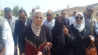 وزيرة التضامن الاجتماعي: تنفيذ حزمة من مشروعات التمكين الاقتصادي في شمال سيناء