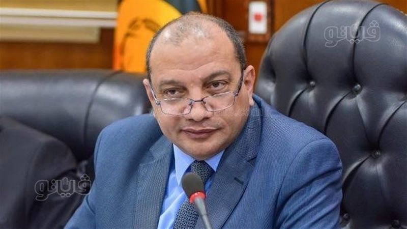 الدكتور منصور حسن،فيتو