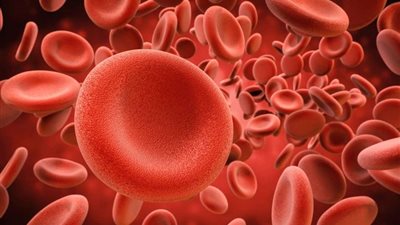 أهمية تحليل سرعة الترسيب في الدم ومتي يجريه المريض (فيديو) 