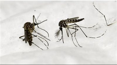 لأول مرة في باريس، استنفار صحي لصد 