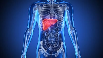 هل يدل تضخم الكبد على الإصابة بالأورام، وما أعراضه؟