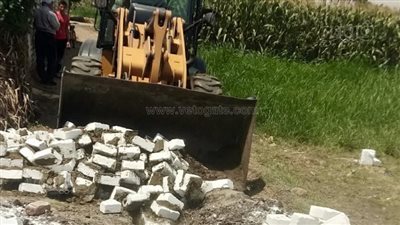 إزالة 90 حالة تعدٍ على الأراضي الزراعية في بني سويف