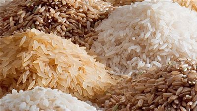  أسعار الأرز السائب والمعبأ اليوم السبت 2-9-2023 بالسوق المحلي