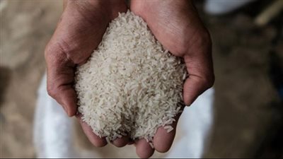 ضغوط مستمرة في سوق الأرز العالمي بعد 6 أسابيع على بداية قيود الهند