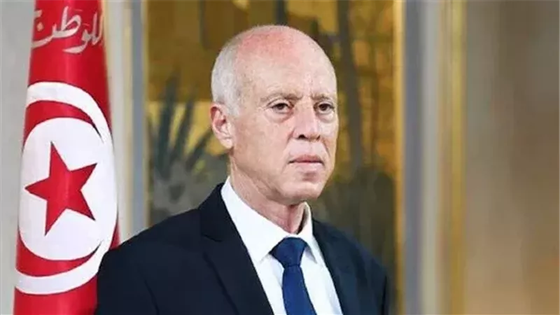 قيس السعيد، فيتو