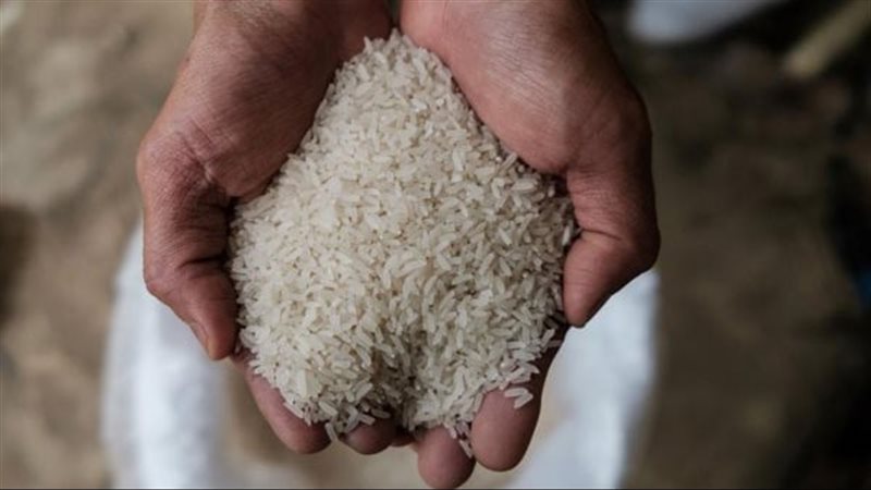 صادرات الأرز، فيتو