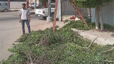 رفع 2600 طن قمامة و997 حالة إشغال طريق في حملات مكبرة بالبحيرة