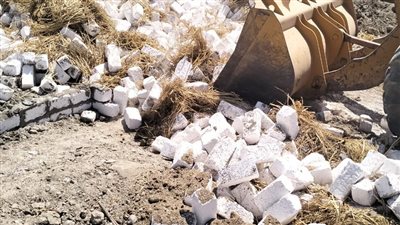 إزالة 16 حالة تعدي على الأراضي الزراعية في البحيرة (صور)