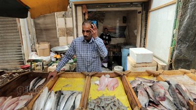 أسعار الأسماك اليوم السبت 11-11-2023 في الدقهلية 