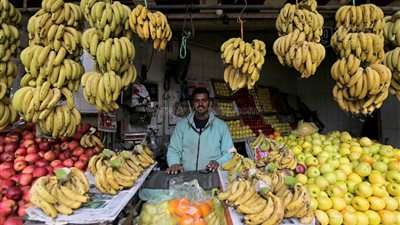   أسعار الفاكهة اليوم، ارتفاع 5 أصناف في سوق العبور أبرزهم التين والجوافة