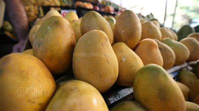أسعار الفاكهة اليوم، انخفاض سعر المانجو في سوق العبور