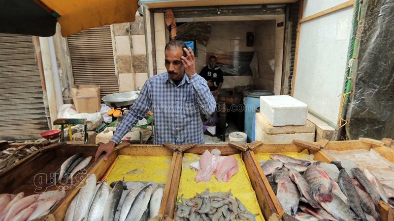 الاسماك اليوم، فيتو