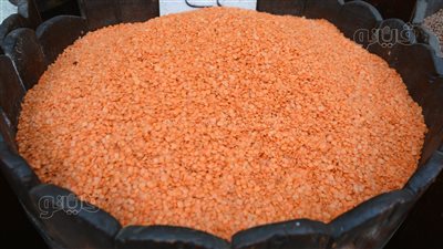 استقرار أسعار العدس مساء اليوم الإثنين 9-10-2023 في الأسواق