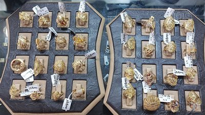 أسعار الذهب في الإمارات، تعرف على سعر جرام الذهب في الإمارات اليوم الخميس