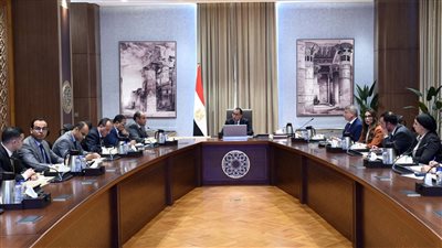 تكليف عاجل لرئيس الوزراء بشأن قانون الحوافز الجديدة للاستثمار الصناعي