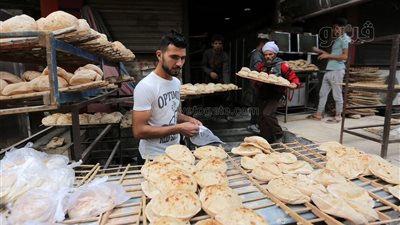 تحرير محاضر لأصحاب مخابز بلدية في الغربية لتلاعبهم في مواصفات الخبز