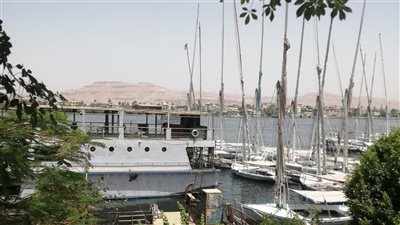 الصغرى 25 درجة، انخفاض في درجات الحرارة بالأقصر 