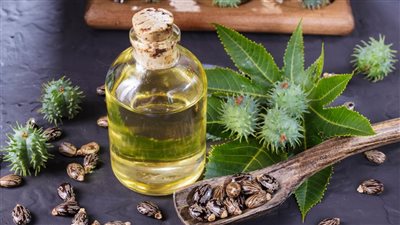 فوائد زيت الخروع للبشرة، وكيفية استخدامه