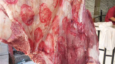 تحذيرات من لحوم تباع بسعر 160 جنيها في المناطق الشعبية لهذه الأسباب
