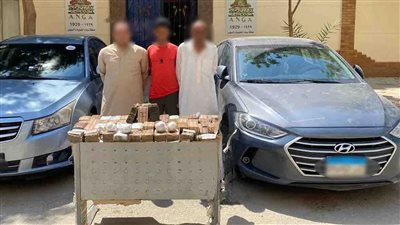 ضبط كميات من مخدري الحشيش والأفيون بـ3.5 مليون جنيه بالسويس
