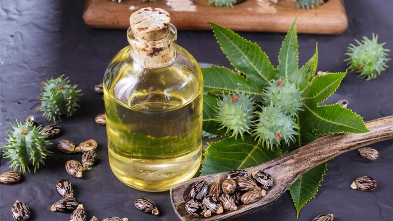 فوائد زيت الخروع،