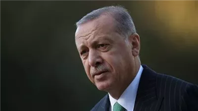 أردوغان يتسلم أوراق اعتماد السفير المصري الجديد لدى تركيا