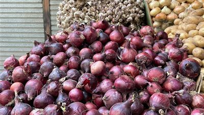 بـ 50 جنيها، ارتفاع جديد في سعر البصل وهذه أسعار بدائله بالأسواق