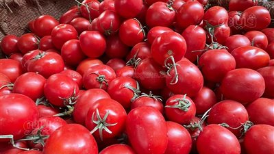 أسعار الخضراوات اليوم، انخفاض سعر الطماطم والبصل في سوق العبور 