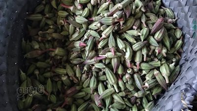 البامية بـ45 جنيهًا، تعرف على أسعار الخضراوات في سوق العبور اليوم