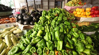 أسعار الخضراوات اليوم الأربعاء 6-9-2023 في الدقهلية