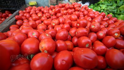 أسعار الخضراوات اليوم، الطماطم تقفز 4 جنيهات في سوق العبور