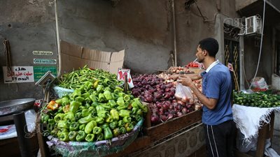 أسعار الخضراوات اليوم، سعر البصل يواصل الانخفاض في سوق العبور