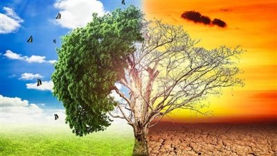 نائب يسأل الحكومة عن خطة مواجهة تأثيرات التغيرات المناخية على الزراعة 