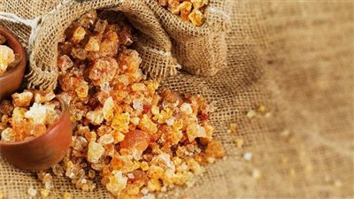 فوائد الصمغ العربي، يخفض الكوليسترول ويحسن صحة الأمعاء