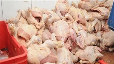 ضبط 980 كيلو دواجن غير صالحة للاستهلاك الآدمي بالوراق
