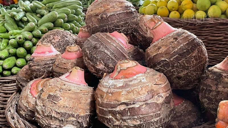  أسعار الخضراوات