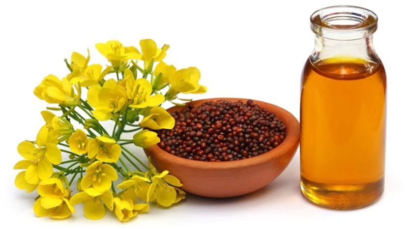فوائد زيت الخردل،