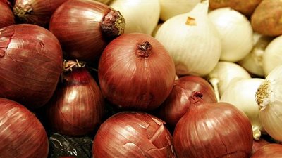 129 مليون دولار حجم صادرات البصل الطازج خلال 6 أشهر 