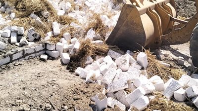 إزالة 51 حالة تعد على الأرض الزراعية خلال حملات مكبرة بالمنيا