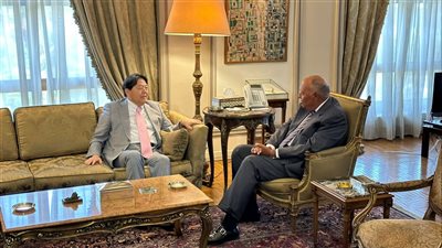 بدء اللقاء الثنائي بين وزير الخارجية ونظيره الياباني (صور)