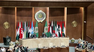 وزير خارجية اليابان: بلادي تعمل مع العالم العربي للحفاظ على النظام الدولي الحر 