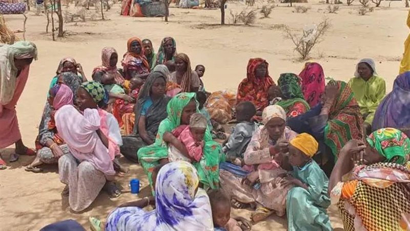  نازحي السودان، فيتو