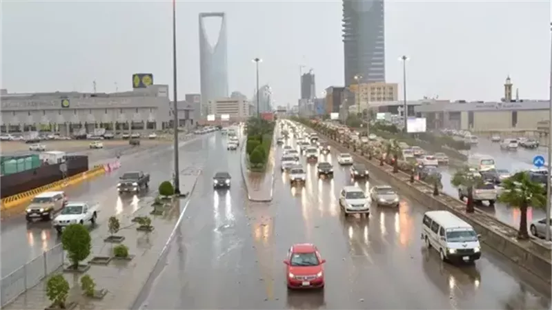 السعودية، فيتو 