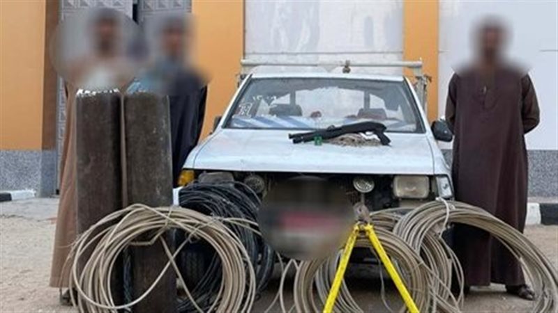 ضبط تشكيل عصابى،فيتو