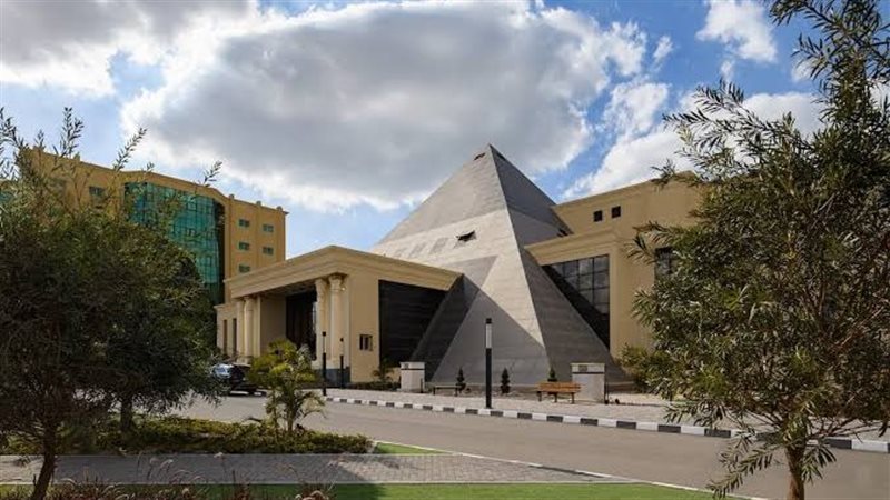 جامعة النهضة،فيتو