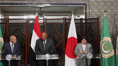 أبو الغيط: تربطنا باليابان علاقات منذ 14 عاما 