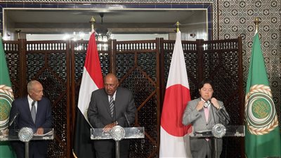 البيان المشترك للدورة الثالثة للاجتماع الوزاري للحوار السياسي العربي الياباني