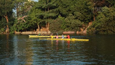  كل ما تريد معرفته عن رياضة التجديف 