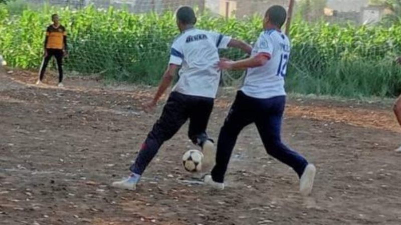 جانب من المشروع القومي