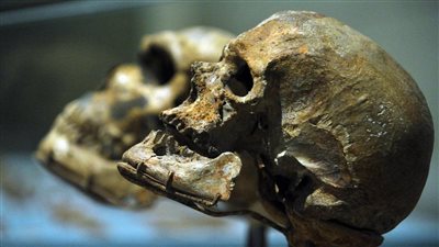 دراسة جديدة: البشرية القديمة كادت أن تنقرض منذ حوالي 900 ألف عام